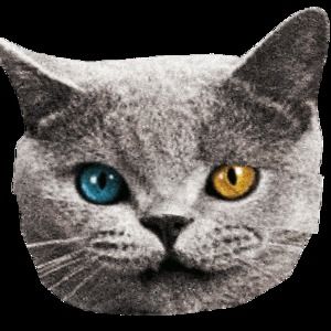 Meet your Posher, Isaac